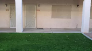 Photo #5: 5875852 Listing 