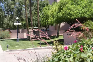 Photo #5: 5880512 Listing