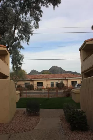 Photo #1: 5885131 Listing