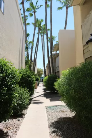 Photo #1: 5957453 Listing