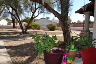 Photo #3: 5980303 Listing