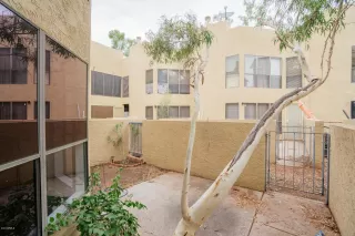 Photo #5: 5984791 Listing