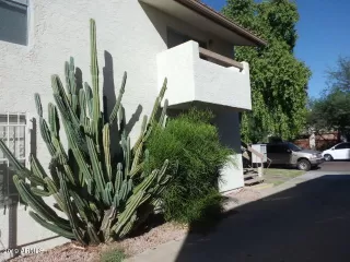 Photo #1: 5988025 Listing