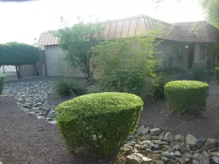 Photo #2: 5997895 Listing 