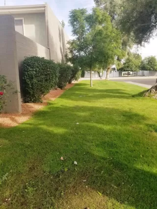 Photo #4: 6003092 Listing