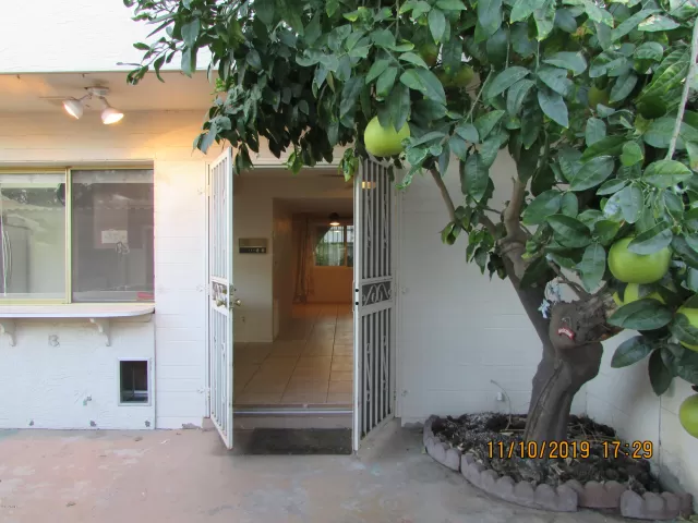 MLS: 6005936 Condo For Sale