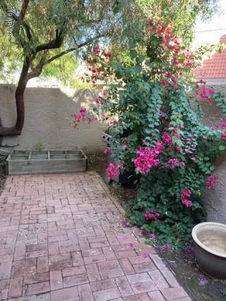 Photo #6: 6008144 Listing 