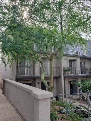 Photo #1: 6012236 Listing