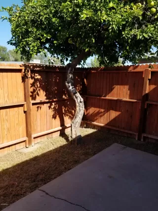 Photo #1: 6013821 Listing 