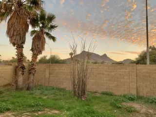 Photo #6: 6015683 Listing 