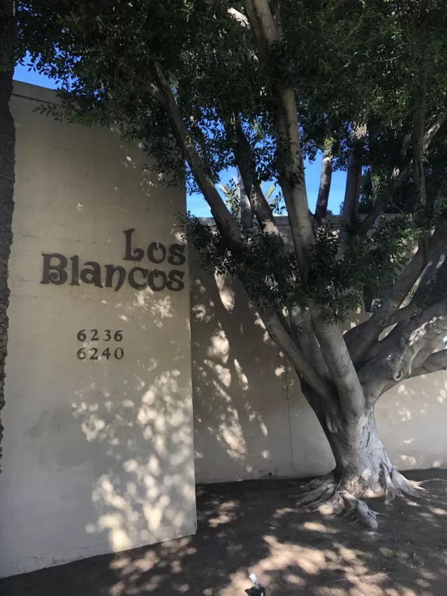 MLS: 6019991 Condo For Sale