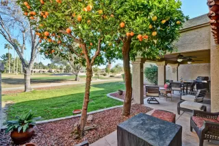 Photo #2: 6028062 Listing 