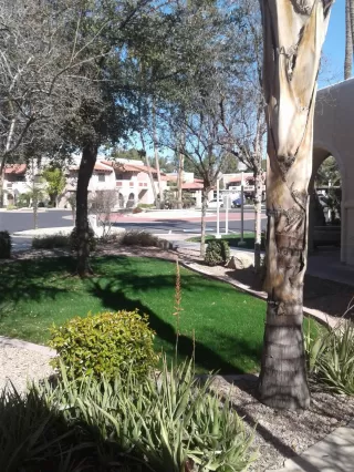 Photo #2: 6042469 Listing 