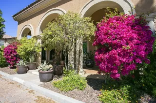 Photo #1: 6047630 Listing