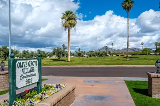 Photo #2: 6050824 Listing 