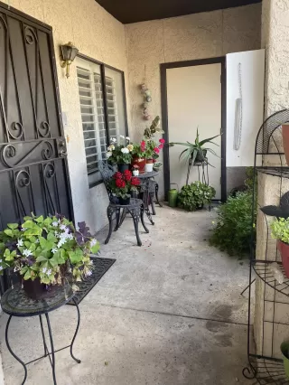 Photo #1: 6053002 Listing 