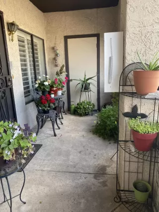 Photo #2: 6053002 Listing 