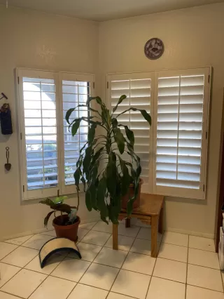 Photo #4: 6053002 Listing 