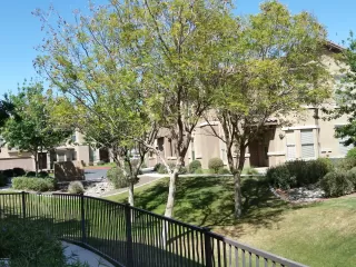 Photo #5: 6053142 Listing