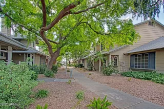 Photo #1: 6053965 Listing 