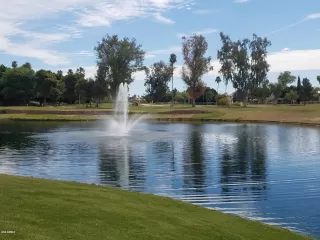 Photo #4: 6057042 Listing 