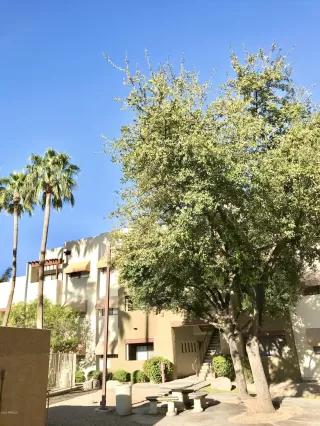 Photo #2: 6057415 Listing