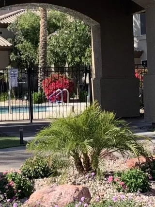 Photo #5: 6062495 Listing