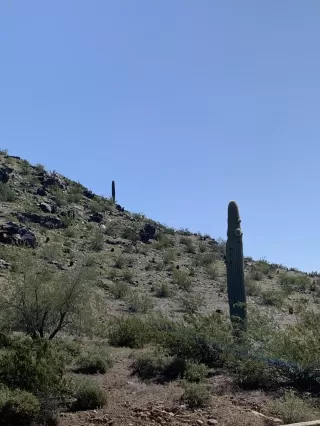 Photo #6: 6062495 Listing