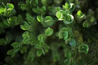 Photo #5: 6062618 Listing 