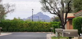 Photo #2: 6063172 Listing 