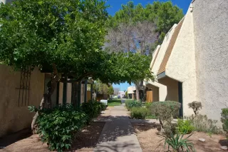 Photo #1: 6071427 Listing