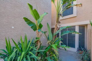 Photo #2: 6071789 Listing 