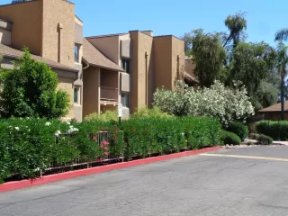 Photo #1: 6072269 Listing