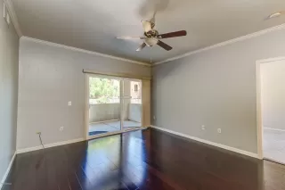 Photo #5: 6073238 Listing