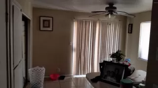 Photo #4: 6074459 Listing 