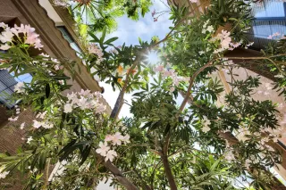 Photo #4: 6077963 Listing