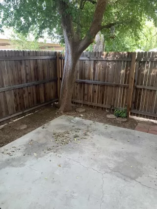 Photo #5: 6078421 Listing