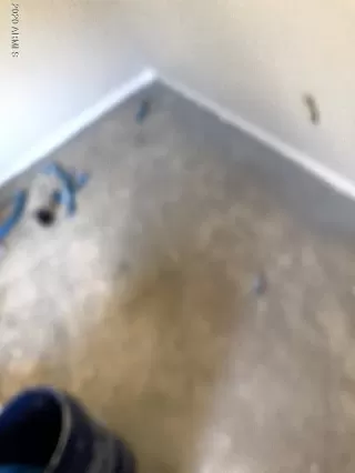 Photo #5: 6082411 Listing 