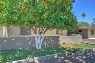 Photo #1: 6082986 Listing