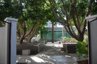 Photo #6: 6083301 Listing 