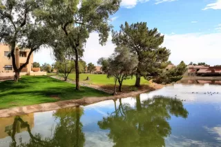 Photo #1: 6085206 Listing