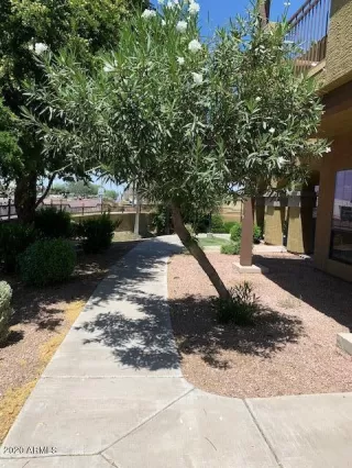 Photo #6: 6086357 Listing