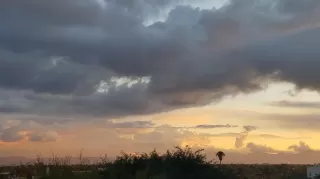 Photo #3: 6094470 Listing