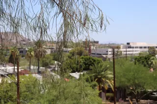 Photo #5: 6094470 Listing