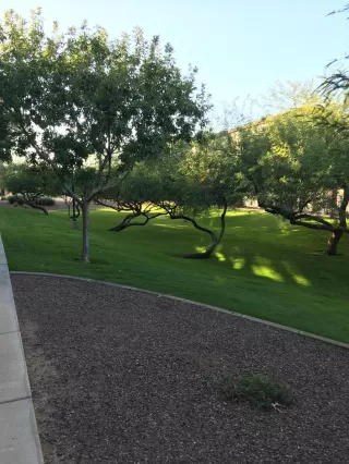 Photo #2: 6095002 Listing 