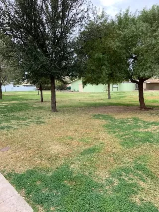 Photo #3: 6097582 Listing