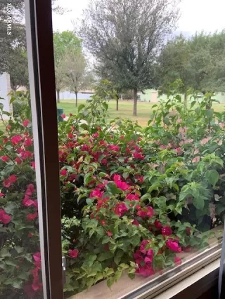 Photo #4: 6097582 Listing