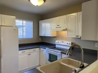 Photo #1: 6100362 Listing 