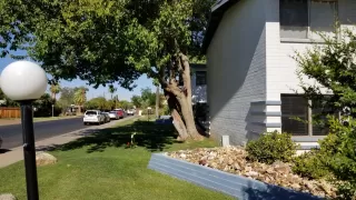 Photo #5: 6102249 Listing