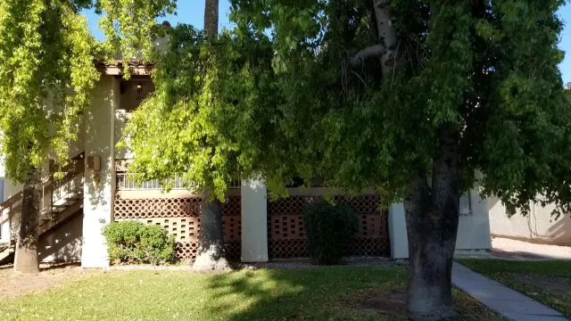 MLS: 6110059 Condo For Sale